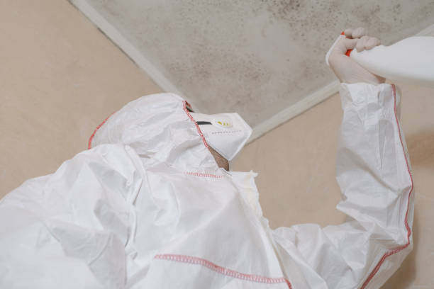 Best Mold Removal for HVAC Installations  in Del Mar, CA